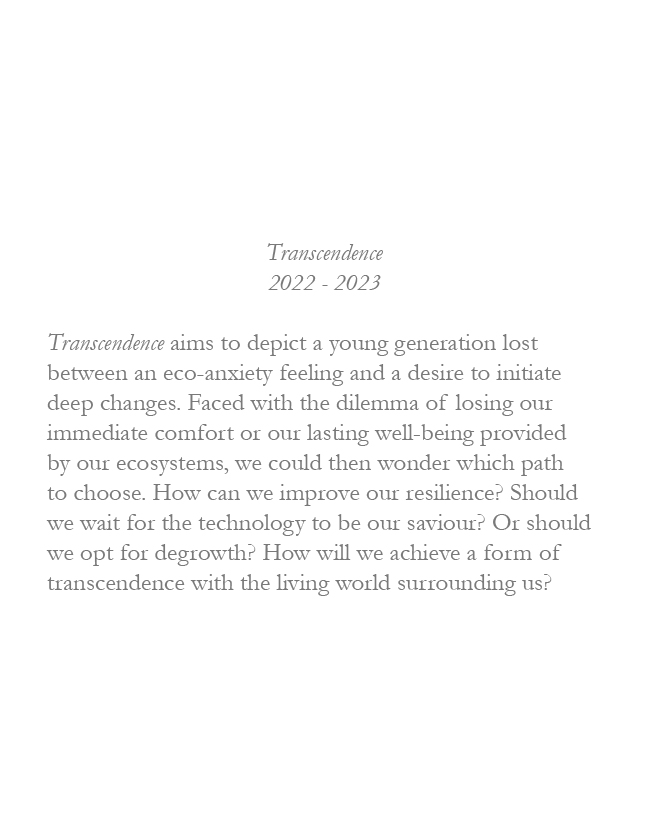 Transcendence_Summary_1